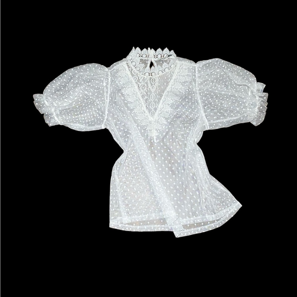 Sheer Mesh Blouse with embroidered design